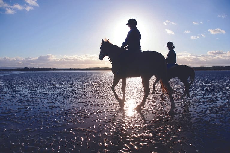 Dingle Horse Riding on the beach