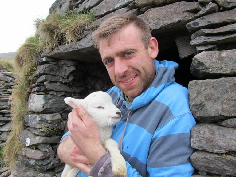 Hold a Baby Lamb in Dingle